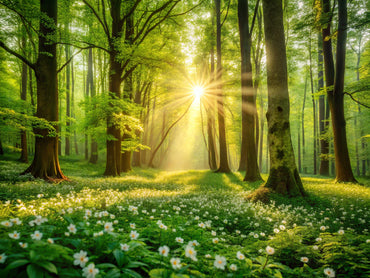 Serene forest scene featuring vibrant botanical designs, ideal for nature-inspired wallpaper themes.